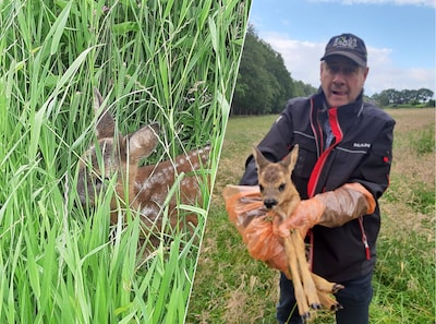 Reekalfjes met hulp van drone van gruwelijke dood gered