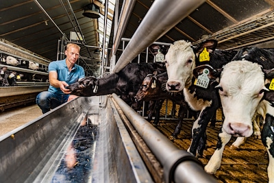 Moedeloosheid slaat toe onder boeren na uitlekken stikstofplan: ‘Treurig maar waar’