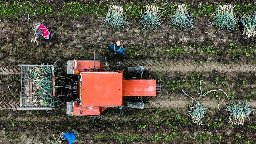 LTO wil dat kabinet zich inzet voor snel EU-besluit steun boeren