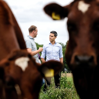 Confrontatie met de boeren lijkt niet te vermijden, maar houdt het kabinet dit keer wel voet bij stuk?