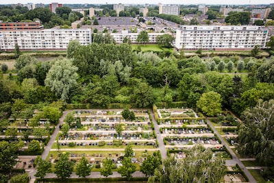 Dordtse begraafplaats verplaatste 21 lichamen in het geheim: nu weet niemand wie het waren