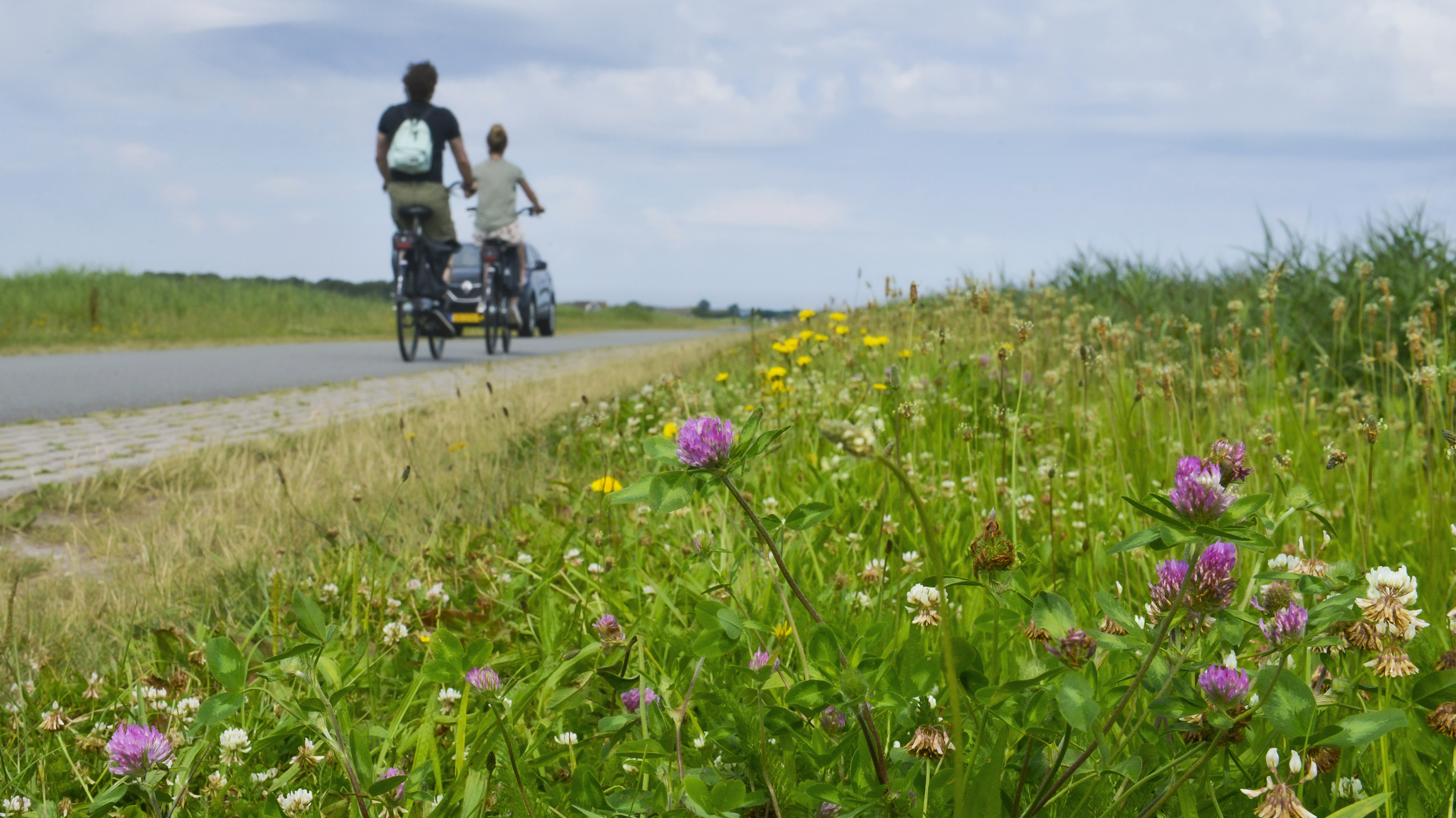 Start ecologisch maaien in Uitgeest. Dieren en planten moeten zo meer ruimte krijgen om zich te ontwikkelen