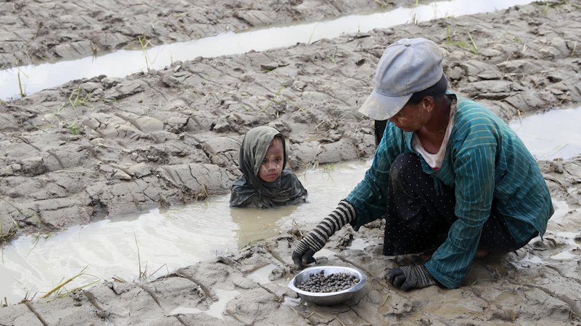 El Niño nu een feit, Rode Kruis legt voorraden aan voor risicogebieden