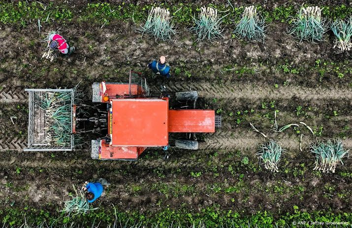 LTO wil dat kabinet zich inzet voor snel EU-besluit steun boeren