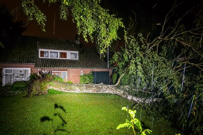 KIJK | Hevige storm in Nuenen: bomen vallen om en straten staan blank