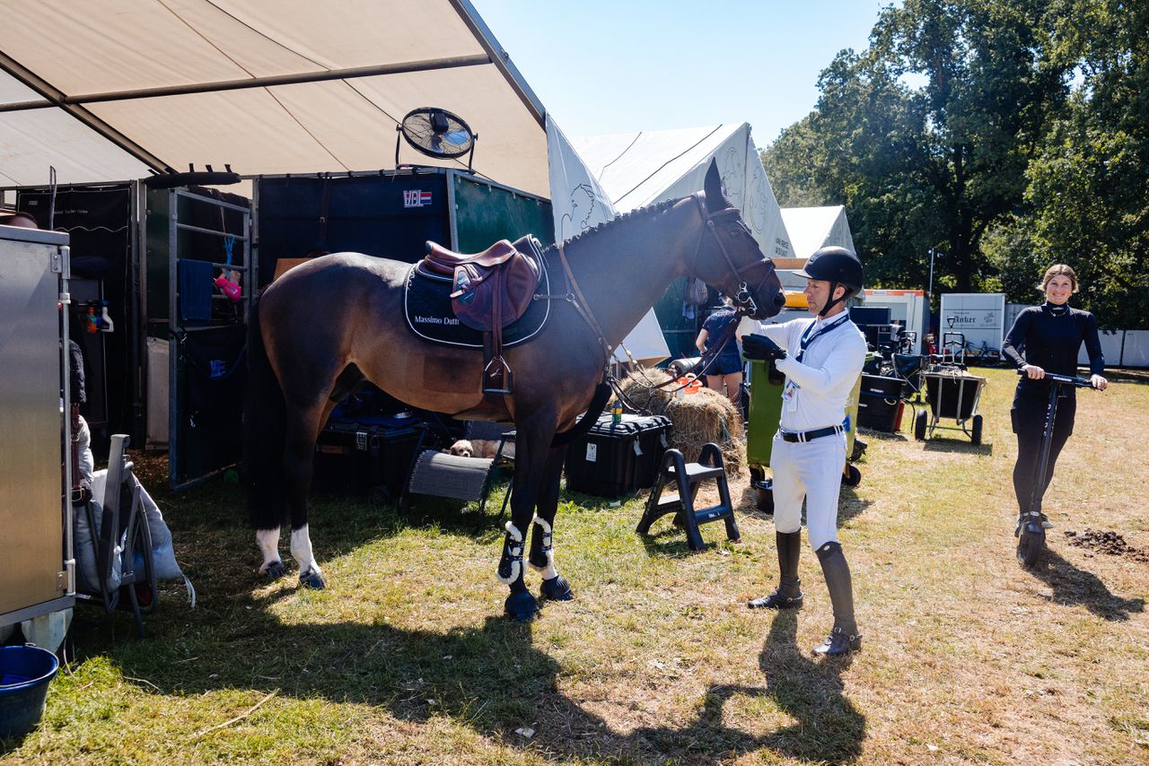 Paarden van CHIO vertroeteld tijdens hitte: ‘Als je deze behandeling ziet, zou iedereen best een paard willen zijn’