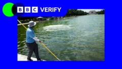 Why is newly renovated Reflecting Pool in Washington DC full of algae?