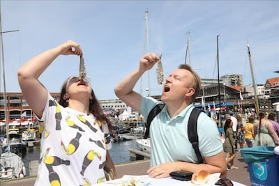 Waarom we allemaal meer haring moeten eten: ‘Eén van de vissoorten die er op alle fronten het beste uitkomt’