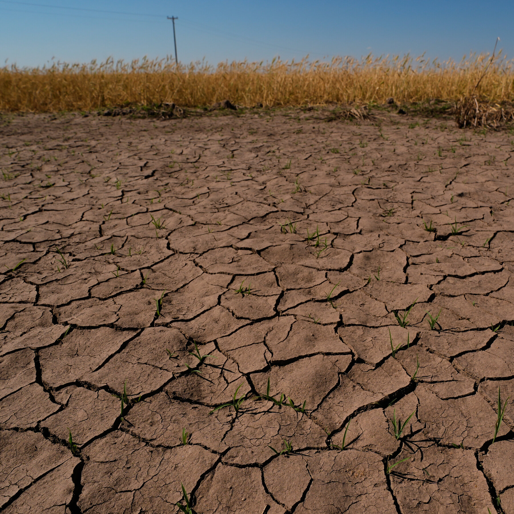 NOAA Issues El Nino Advisory