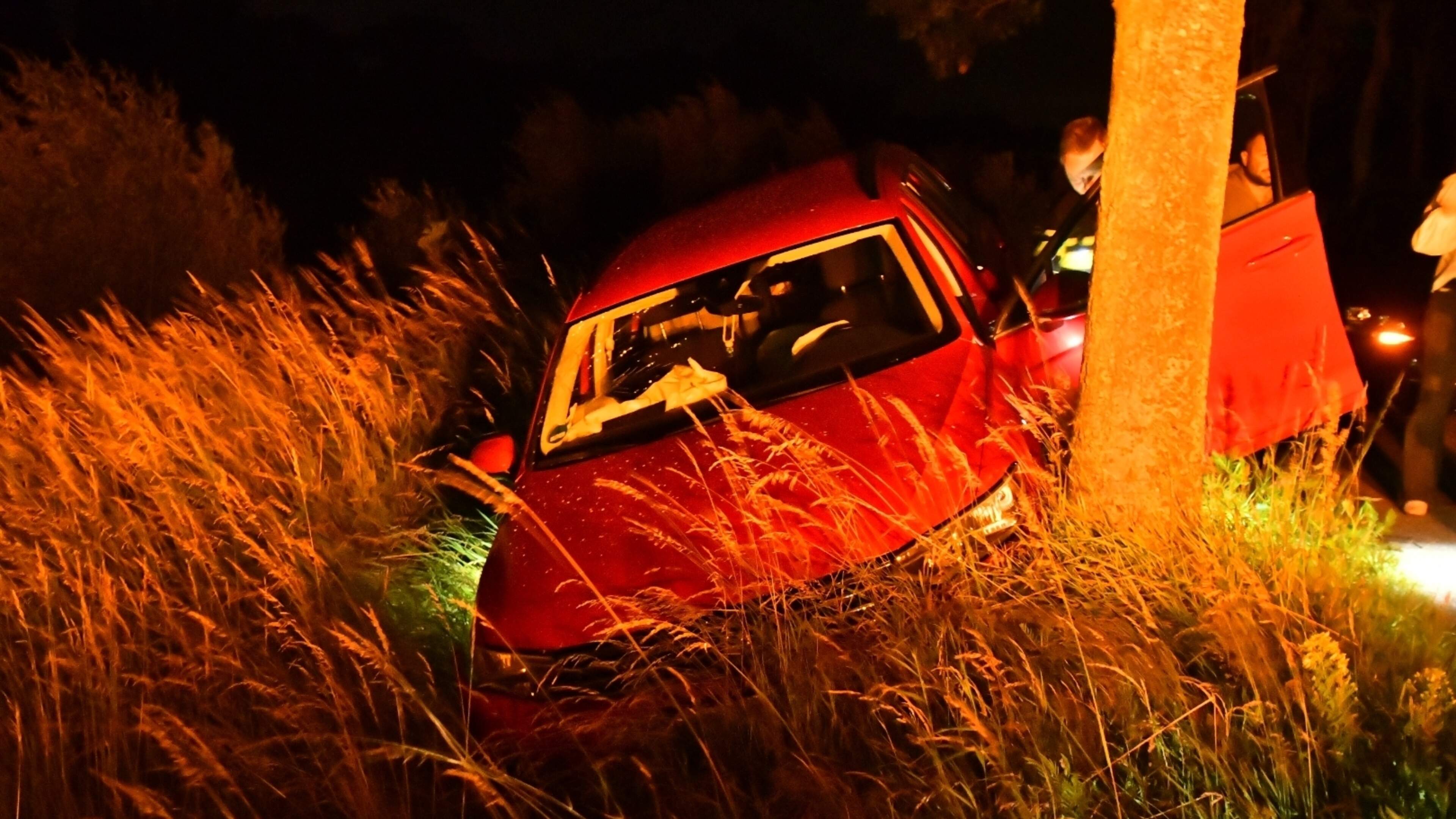 Bestuurder aangehouden na botsing tegen boom in Baarlo