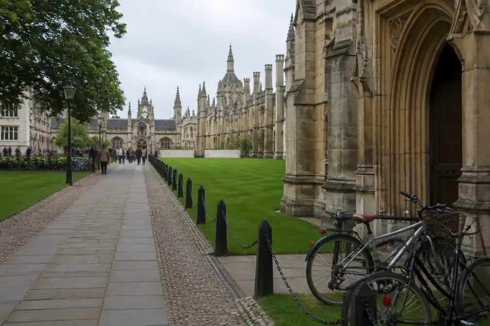 Cambridge-hoogleraar Jason Arday treedt af na plagiaatrel; universiteit start onderzoek