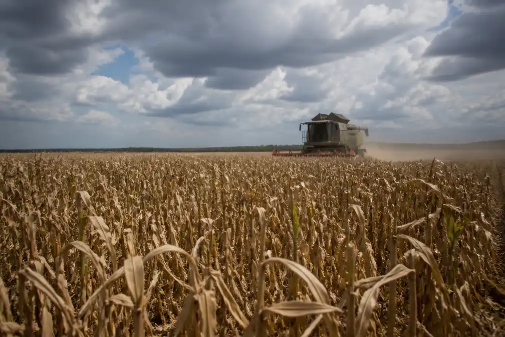 Voedselprijzen wereldwijd hoogst in ruim drie jaar, meldt FAO