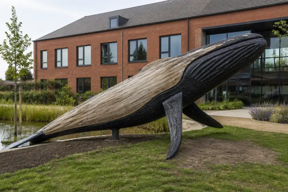 Kunstwerk 'The Whale' krijgt eindelijk plek voor gemeentehuis Lubbeek