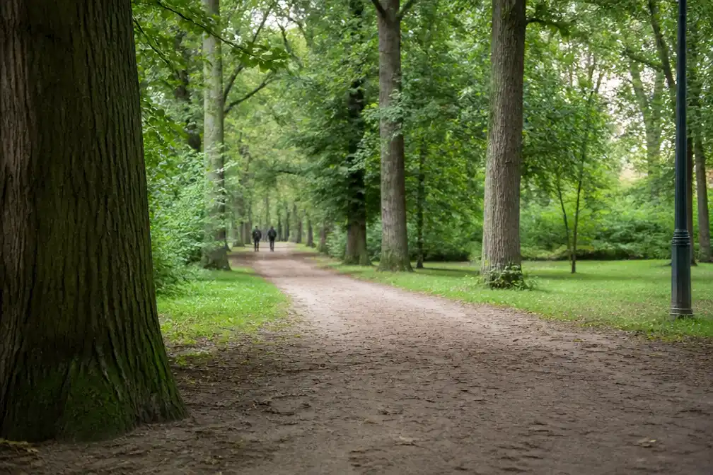 Brusselse rechtbank veroordeelt dakloze tot 7 jaar cel voor aanrandingen in Ter Kamerenbos