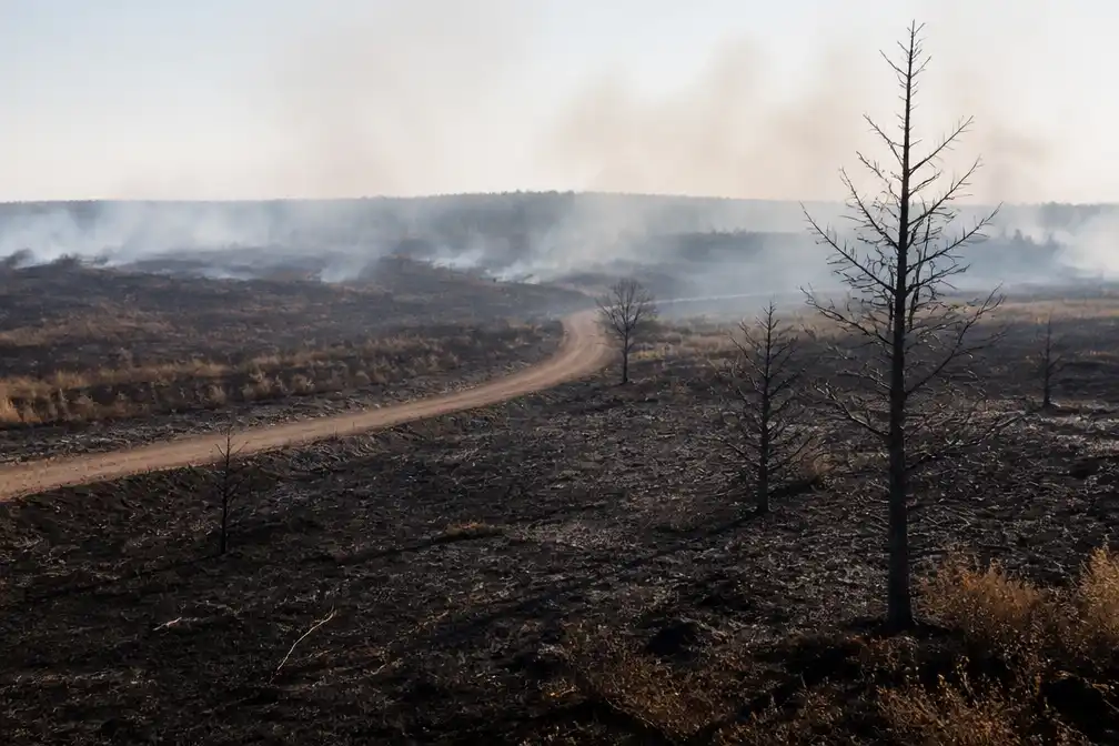 België komt met actieplan tegen natuurbranden na Hoge Venen-brand