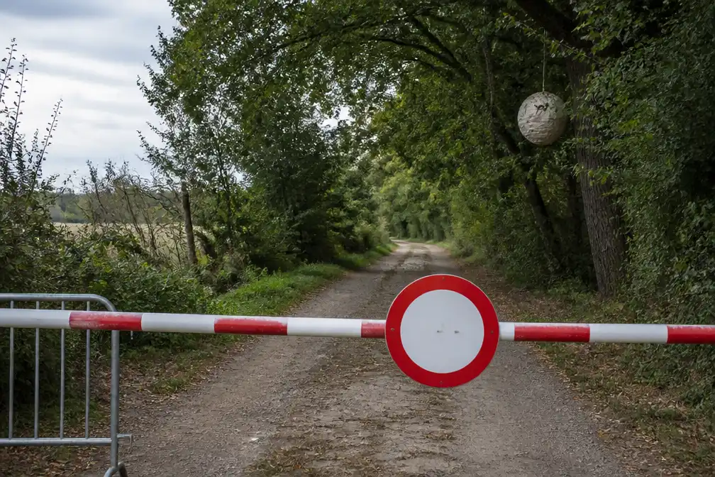 Minstens 5 mensen naar ziekenhuis na aanvallen Aziatische hoornaars in Kluisbergen