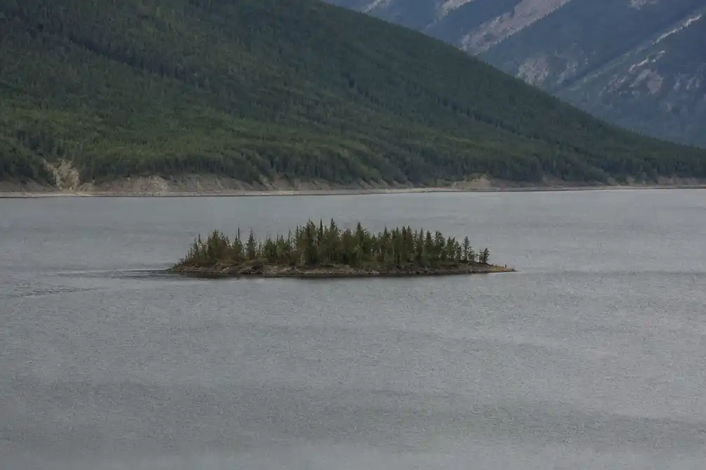 Drijvend eiland met bomen duikt op in Williston-meer in Canada en verdwijnt weer