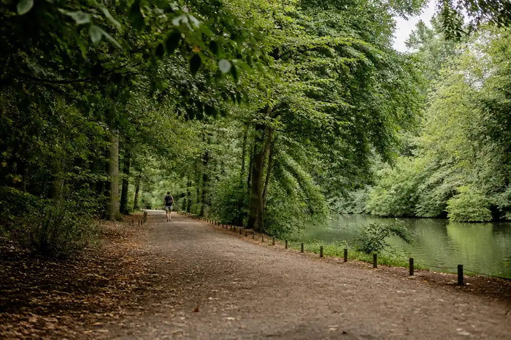 Tweede verdachte geïnterneerd voor seksueel geweld in Ter Kamerenbos