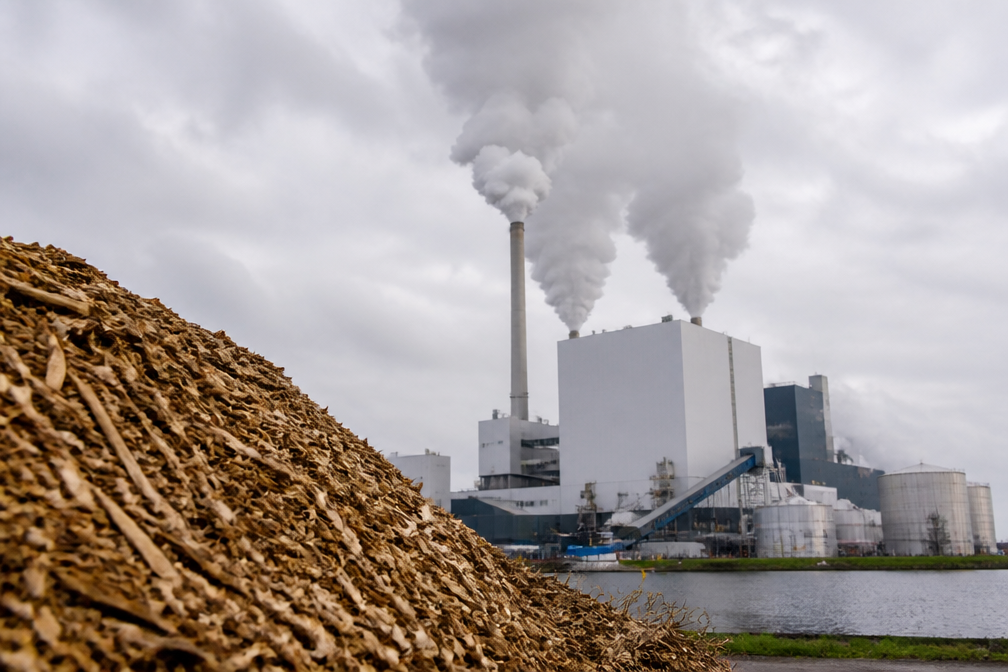 PBL: houtverbranding niet nodig voor klimaatneutraal Nederland