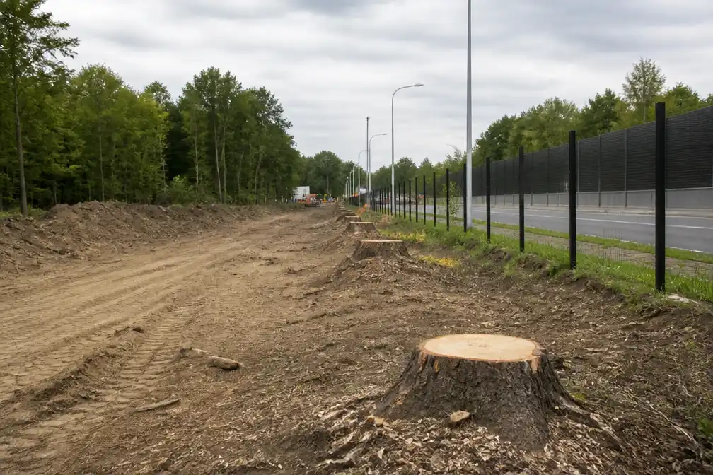 Aannemer kapt zes bomen te veel voor fietssnelweg FR20 in Wezembeek-Oppem
