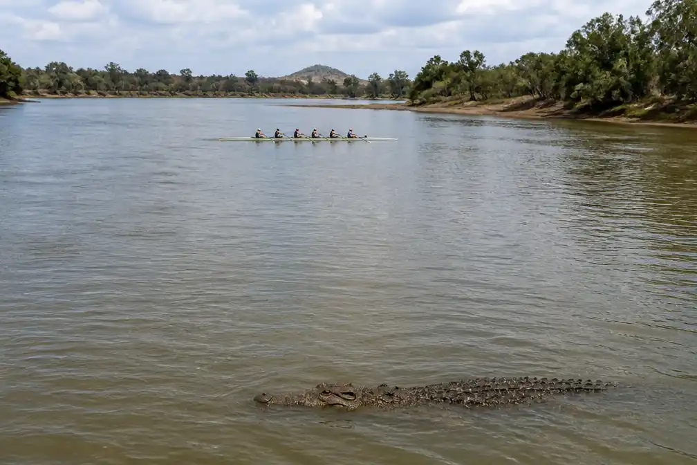 Fitzroy-rivier met 500 krokodillen goedgekeurd als roeibaan voor Brisbane 2032