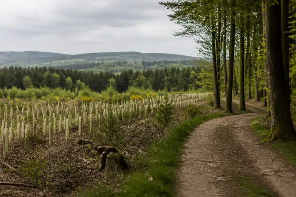 België alleen klimaatneutraal tegen 2050 met krimp veestapel en ingrijpende omslag in landgebruik