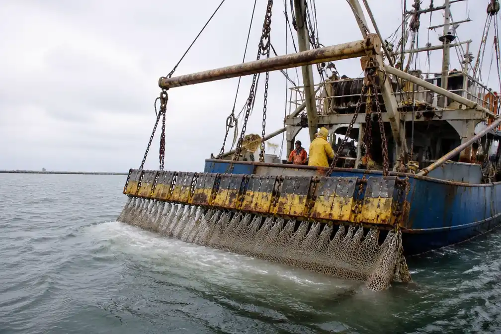 Erkens trekt 1,3 miljoen uit voor nieuwe proef met pulsvisserij