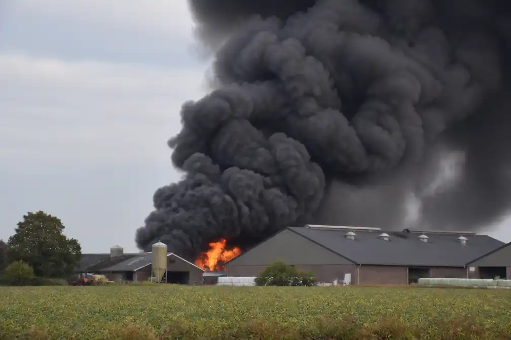 Grote brand bij agrarisch bedrijf in Overloon, loods staat volledig in brand