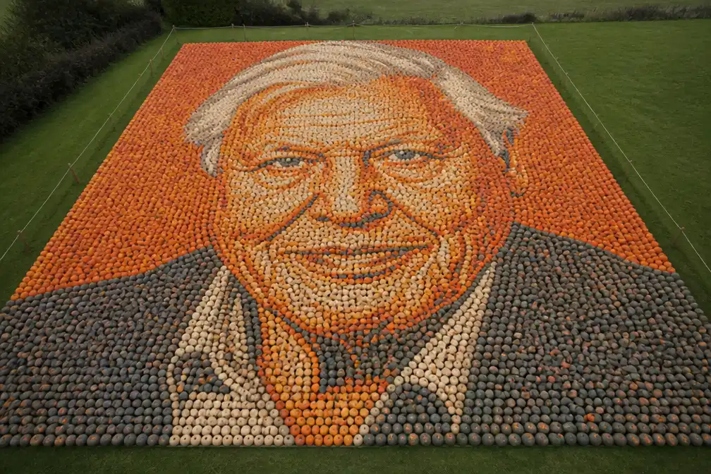 Enorm portret van David Attenborough gemaakt van 11.000 pompoenen in het VK