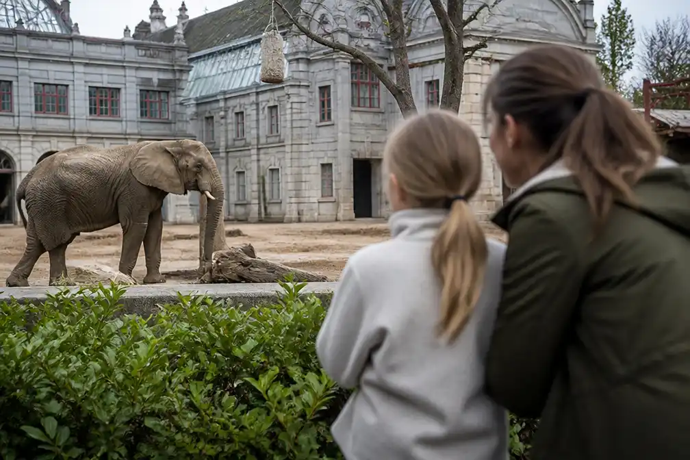 ZOO Antwerpen en Planckendael verliezen vanaf 2027 3,4 miljoen euro Vlaamse steun