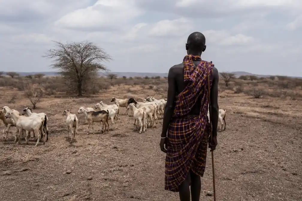 Keniaanse herders klagen aan om CO2-project voor Meta en Netflix