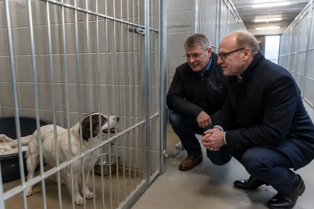 Dierenasielen kunnen uitbreiden dank zij erfenis van 1,3 miljoen euro uit Lubbeek