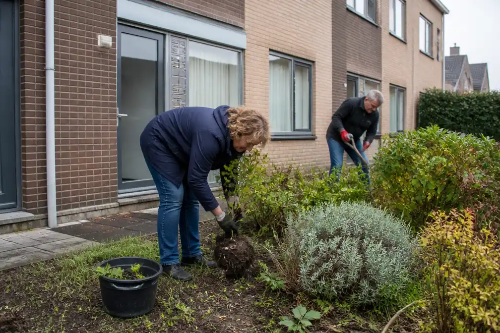 !mpuls laat buurtbewoners gratis groen weghalen uit tuinen in Menen voor sloop
