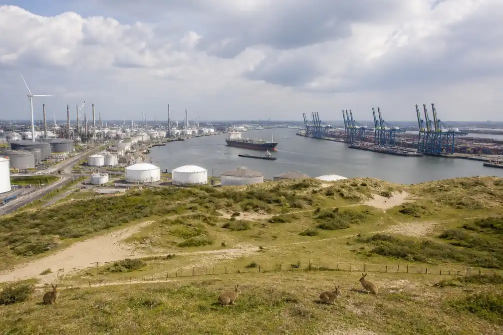 Rotterdamse haven lijkt van stikstofslot af dankzij natuurherstel in de duinen