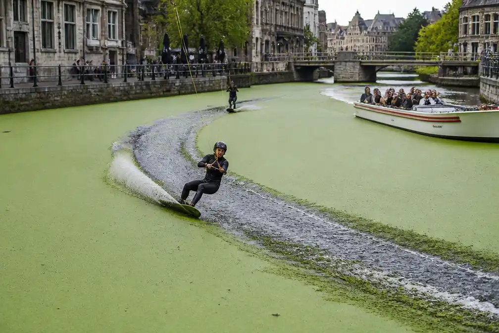 Wakeboarders snijden spoor door eendenkroos op Gentse waterlopen