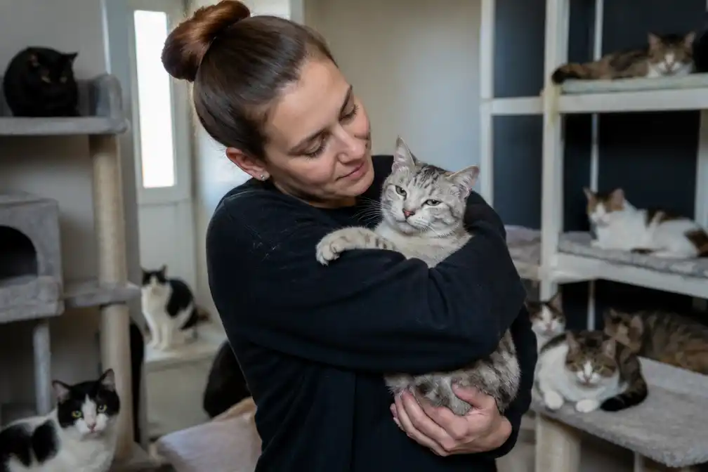 Gedumpt katje Arlette verliest al haar tanden, maar vindt thuis bij 'kattenmadam' Lydia (44)