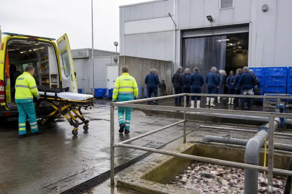 Arbeider onwel door ammoniakgeur in visverwerkend bedrijf Nieuwpoort, 25 geëvacueerd