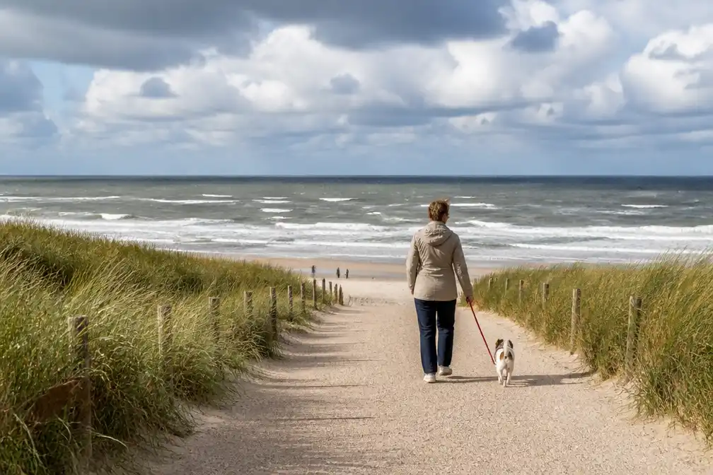 Koeler zomerweer verwacht in Nederland na recordhitte