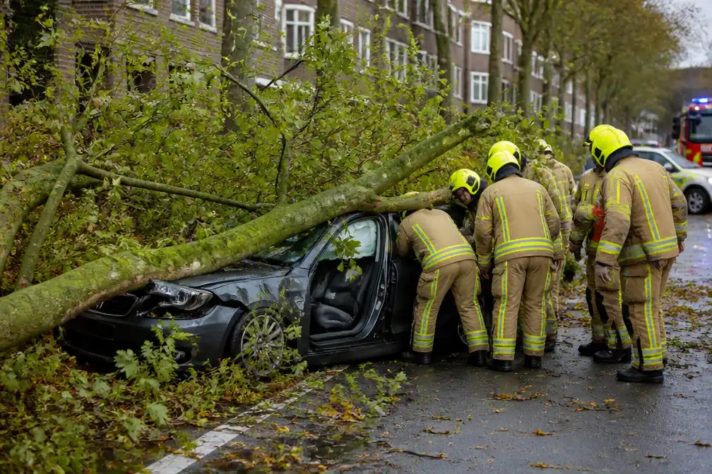 Boom valt op rijdende auto aan Anne Frankstraat, bestuurder bekneld