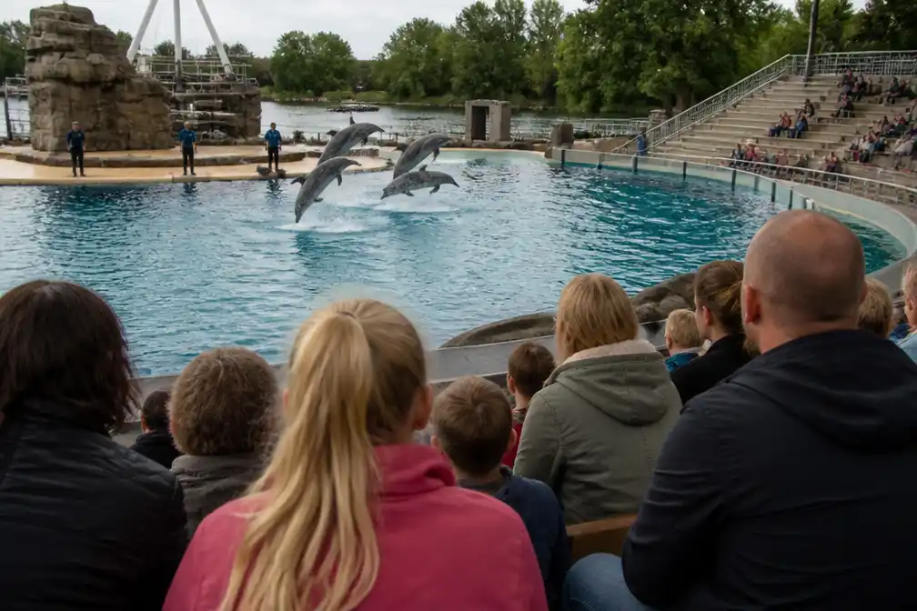 Dolfinarium verandert van geliefd uitje in plek van ongemak door kelderende inkomsten