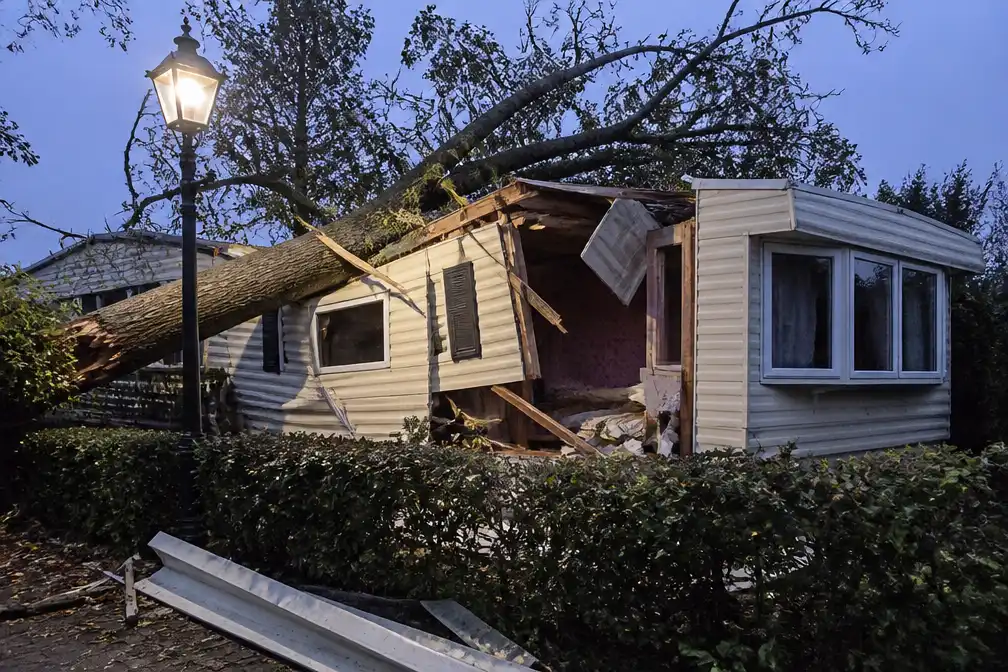 Storm blaast enorme boom op woonwagen van Grad Damen in Breda: kinderslaapkamer verwoest