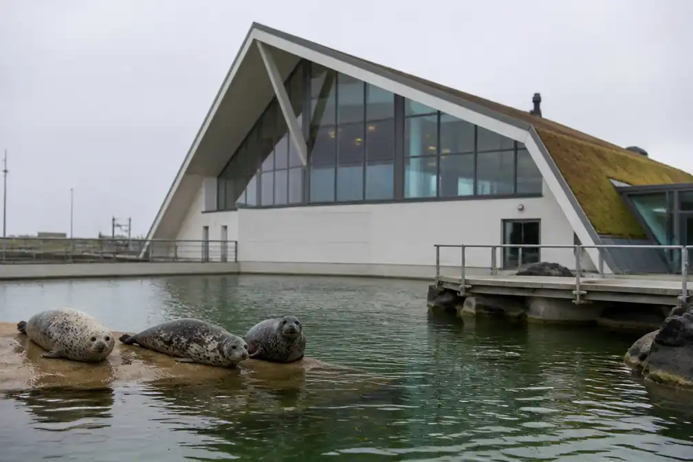 Raad Het Hogeland debateert over noodlijdend Werelderfgoedcentrum Waddenzee