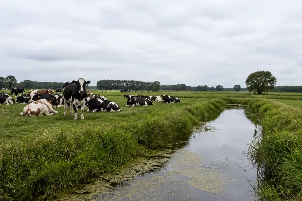 Oppositiepartij PRO: stikstofplan is slechts eerste stap