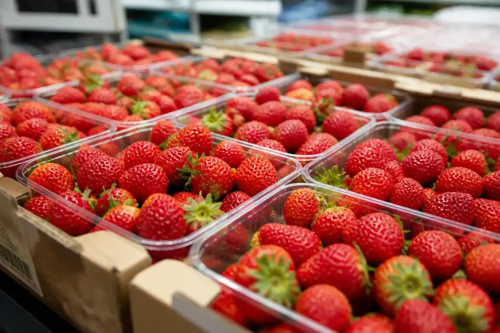 80% van niet-biologische Europese aardbeien bevat pesticidenresten