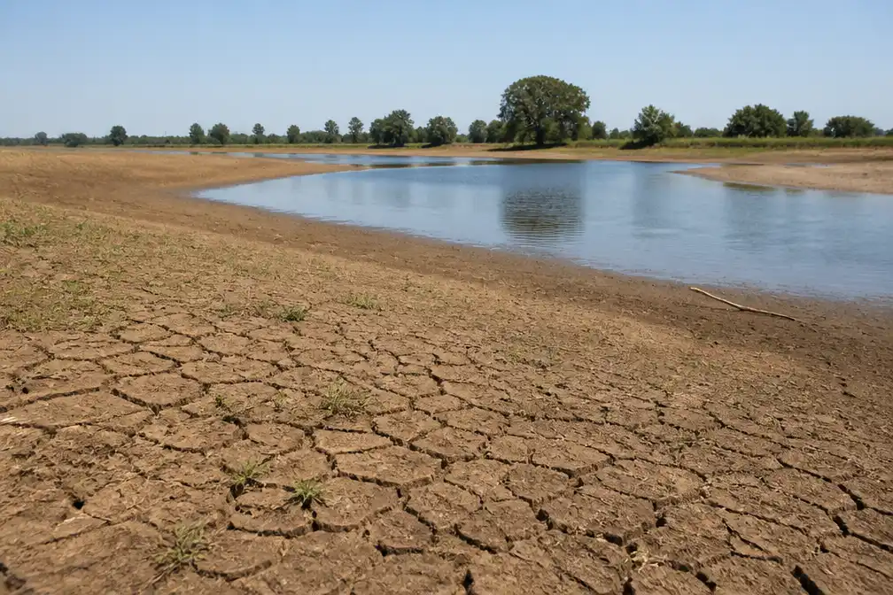 Juli 2026 op een na droogste julimaand ooit in Nederland met 12 mm neerslag